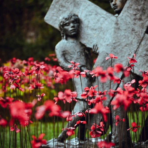 entretien-tombe-propre-et-fleurie